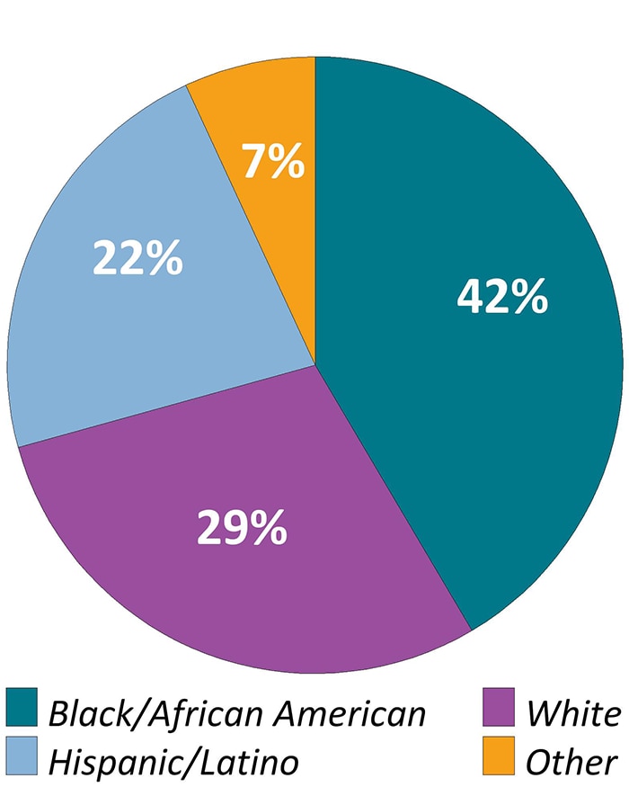An estimated 42 percent of persons were Black or African American and 29 percent were White. Additionally, 22 percent of all persons were Hispanic or Latino (Hispanics and Latinos can be of any race) and 7 percent were American Indian/Alaska Native, Asian, Native Hawaiian/Other Pacific Islander, or multiracial.