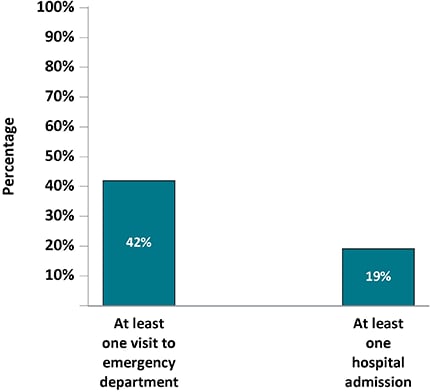 In all, 42 percent of persons had at least 1 visit to an emergency department in the 12 months prior to the interview and 19 percent were admitted to the hospital in the 12 months prior to the interview.