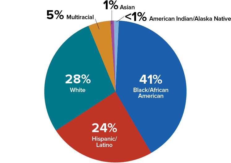 Figure 2d. Distribution of Race/Ethnicity Among Adults with Diagnosed HIV—Medical Monitoring Project, United States, 2021