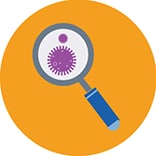 icon of a magnifying glass and a virus