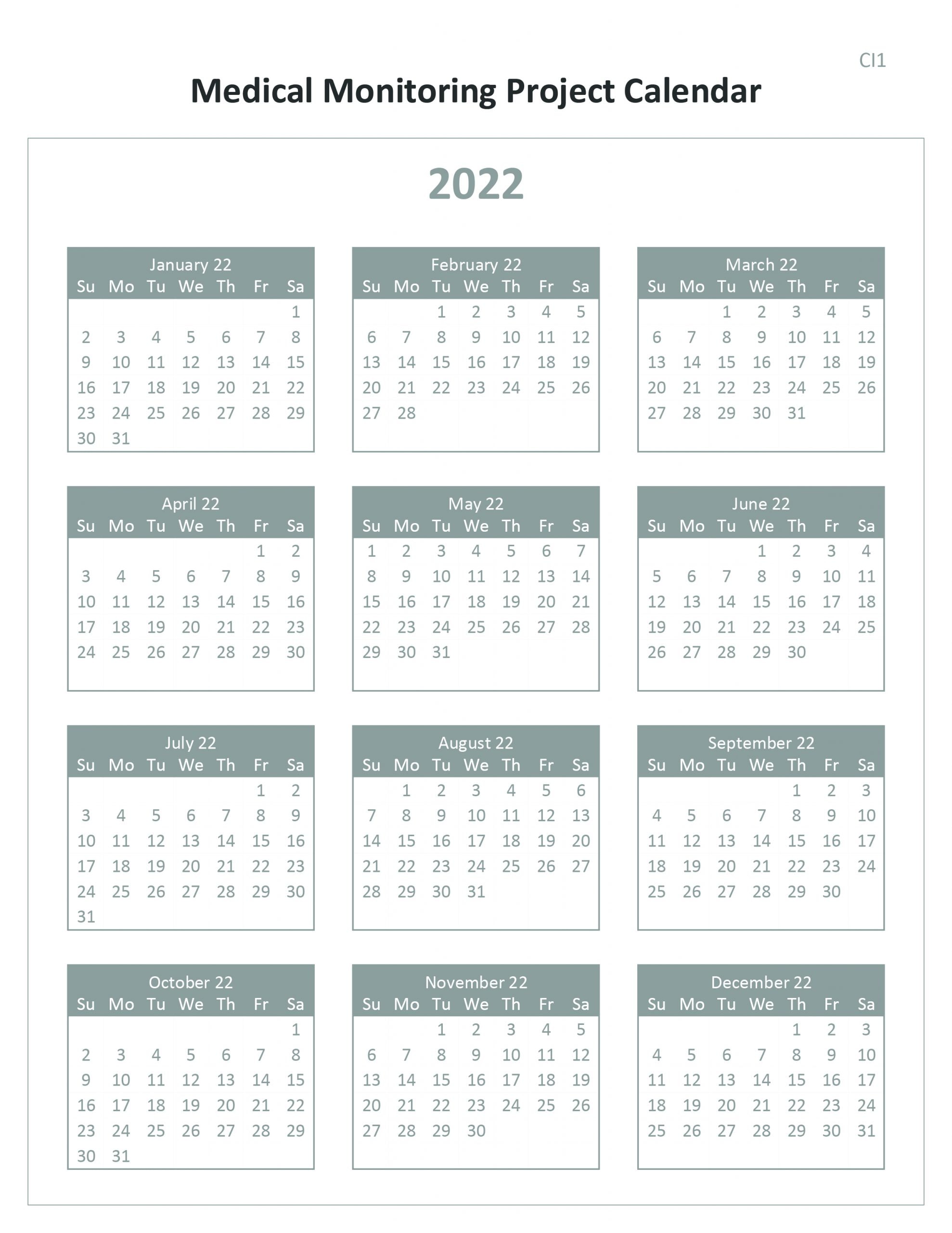 Medical Monitoring Project Calendar 2022