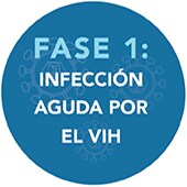Fase 1: Infección aguda por el VIH