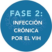 Fase 2: Infección crónica por el VIH