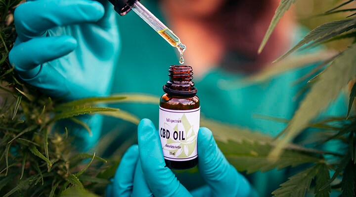 A person wearing gloves holding a CBD bottle with an eyedropper.