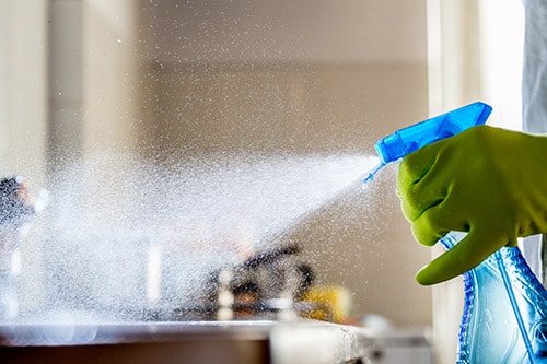 Person spraying cleaner onto a counter