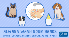 Always Wash Your Hands After Touching, Feeding, or Playing with Pets