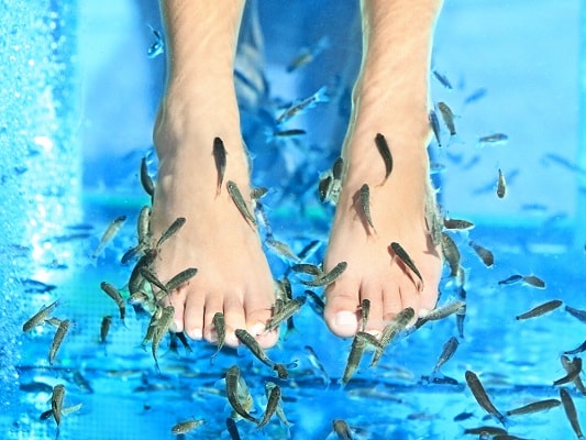 human feet in water with tiny fish swimming around them