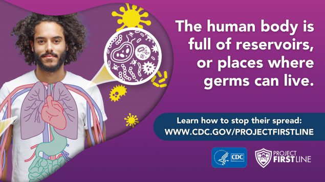 The human body is full of reservoirs, or places where germs can live.