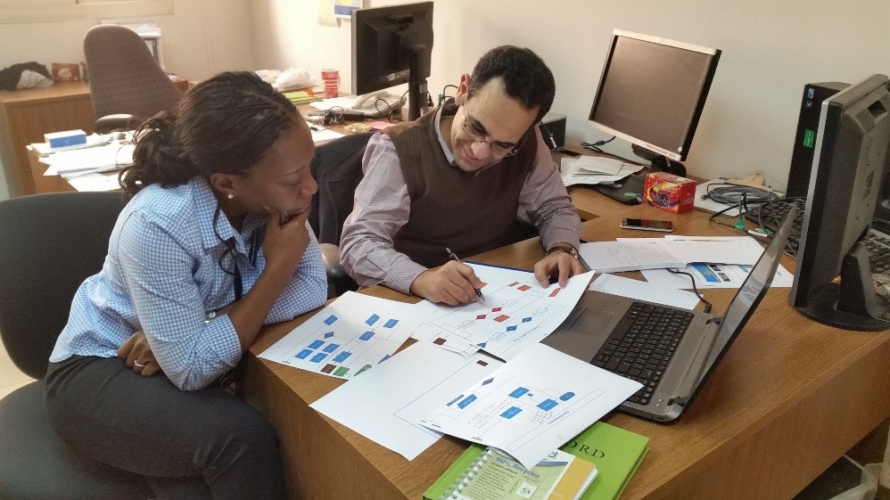 PHIFP fellow and mentor working together at a desk reviewing diagrams.