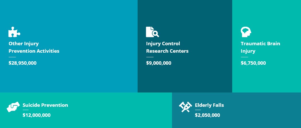 Other Injury Prevention Activities $28,950,000 • Injury Control Research Centers $9,000,000 • Traumatic Brain Injury $6,750,000 • Adverse Childhood Experiences $5,000,000 • Elderly Falls $2,050,000