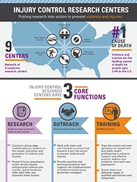 ICRC Infographic thumbnail