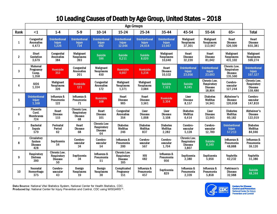 10 Leading Causes of Death by Age Group, US 2018