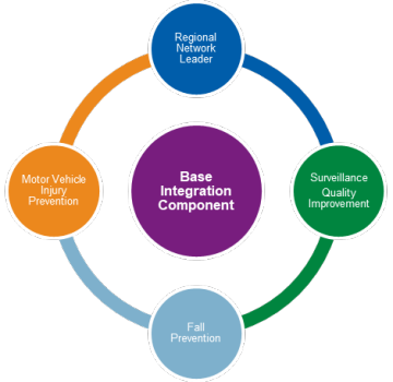Base Integration Component: Regional network leader, Surveillance quality improvement, Fall Prevention, Motor Vehicle Injury Prevention
