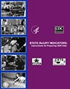 State Injury Indicators Report, Third Edition - 2004 Data cover