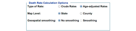 This is an image of the Death Rate Calculation Options section. In this section, you must choose a subcategory of one of the following categories: Type of Rate, Map Level, Geospatial smoothing.