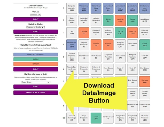 Screenshot of the WISQARS dashboard with a large yellow arrow pointing to the Download Data/Image button