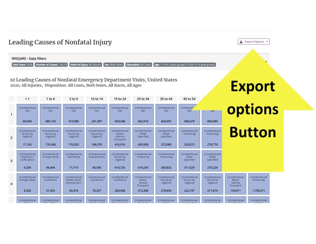 Screenshot of the WISQARS dashboard with a large yellow arrow pointing to the Export Options button