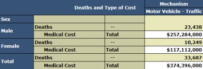 Cost module report: Motor Vehicle Traffic Deaths and Estimated Lifetime Medical Costs, by Sex, 2010