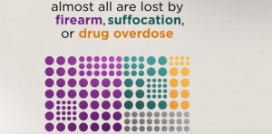 Of the more than 47,000 lives lost to suicide each year almost all are lost by firearm, suffocation, or drug overdose.
