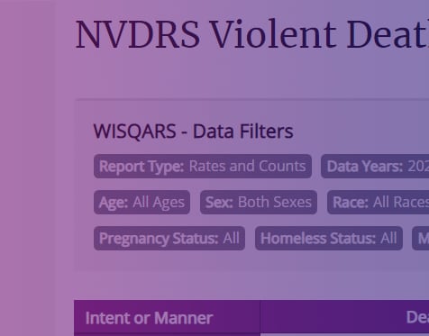 National Violent Death Reporting System Tile