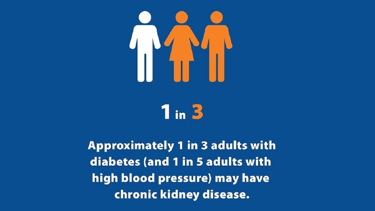 Approximately 1 in 3 adults with diabetes, and 1 in 5 adults with high blood pressure, may have chronic kidney disease.