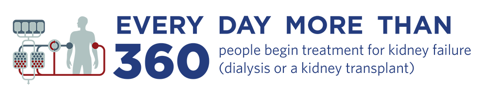 Every day more than 340 people begin treatment for kidney failure (dialysis or a kidney transplant).