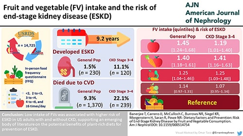 Visual abstract of the paper published by the American Journal of Nephrology showing lower intake of fruits and vegetables was associated with a higher risk of kidney failure.