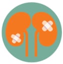 illustration of 2 kidneys with band-aids on each one