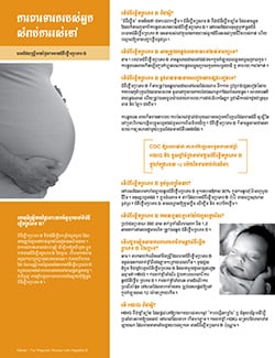 Snapshot of 'Hepatitis B: Are you at Risk' 2-page fact sheet
