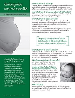 Snapshot of 'Hepatitis B: Are you at Risk' 2-page fact sheet