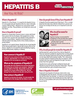 Snapshot of 'Hepatitis B: Are you at Risk' fact sheet