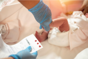 Caregiver applies bloodspots from infant foot onto testing paper