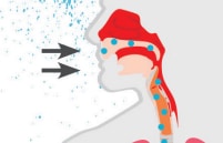 Flechas indicando la entrada de pequeñas gotas de agua por la nariz al respirar.