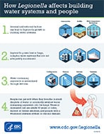 How Legionella Affects Building Water Systems and People Infographic