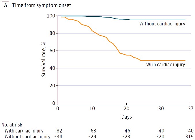 Kaplan-Meier survival curves among COVID-19 patients with and without cardiac injury by  time from symptom onset