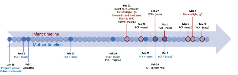 Timeline of clinical findings for the mother (bottom, blue) and infant (top, red)