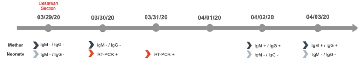 Timeline illustrating RT-PCR and serologic assay results in mother and neonate. Ig, immunoglobulin; RT-PCR, real-time polymerase chain reaction.