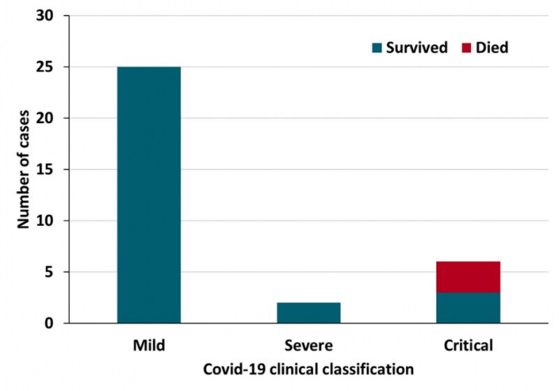 COVID-19 clinical classification of cases and death outcome among people with HIV (N = 33).