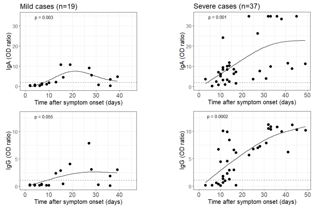 Modeling of SARS-CoV-2-specific IgA and IgG serum levels as a function of days between reported symptom onset and sample collection in mild versus severe COVID-19 cases . Dashed lines indicate borders between positive and borderline or negative serum values of IgA (top) and IgG (bottom).