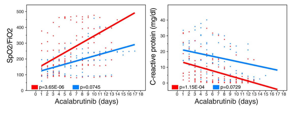 Oxygen uptake efficiency (SpO2/FiO2) and C-reactive protein levels in patients receiving supplemental oxygen (red) or mechanical ventilation (blue) over the course of acalabrutinib treatment.