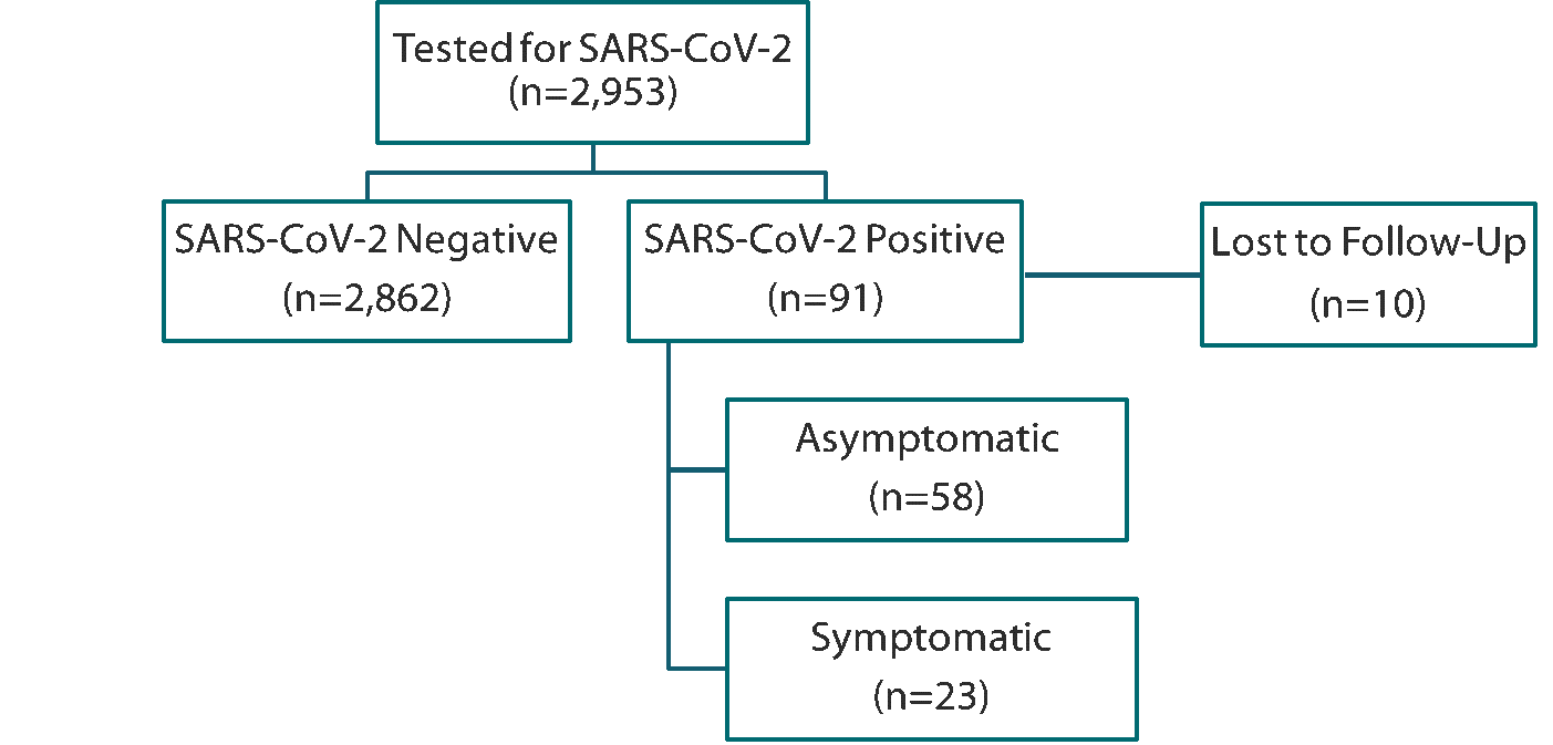 Number of study participants tested for SARS-CoV-2, positive, and reporting symptoms.