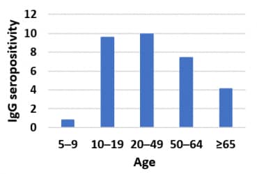IgG seroprevalence by age group