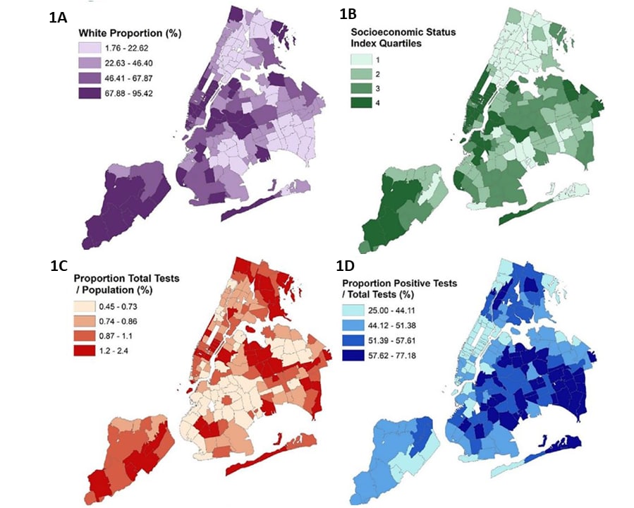 Spatial distribution of testing and sociodemographic data mapped according to zip code area, NYC.