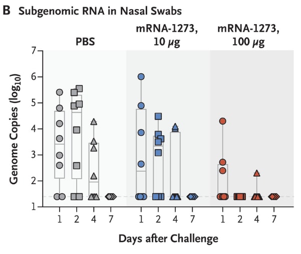 Inhibition of viral replication post-challenge in 3 groups of rhesus macaques (n=12 per group) in BAL and nasal swab specimens.