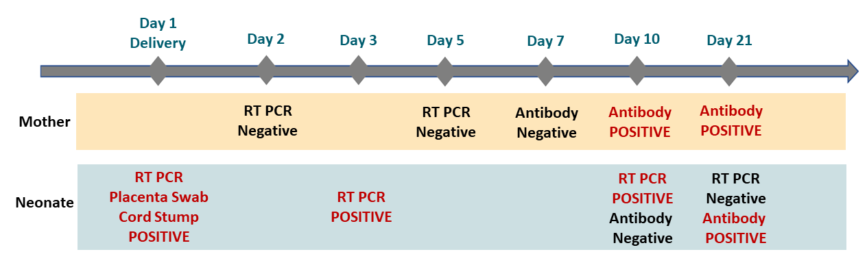 Timeline depicting RT-PCR and serology results across time in mother and neonate.