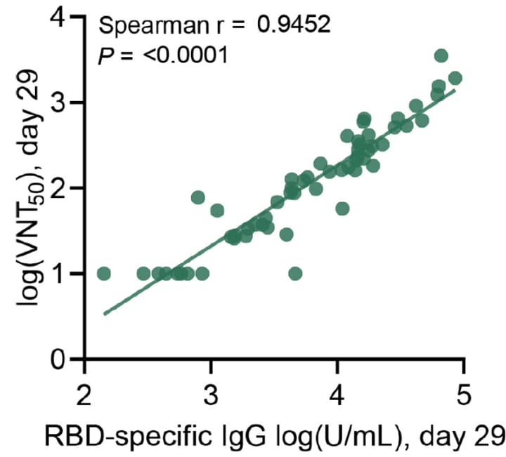 Correlation of RBD-specific IgG titers versus VNT50 from day 29 sera of all immunized patients.