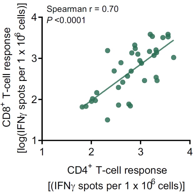 Correlation of CD4+ with CD8+ T-cell responses from blood collected on day 29 in all immunized patients.