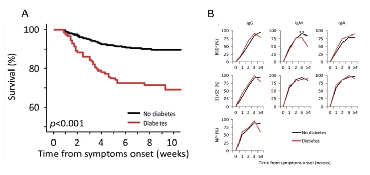 A: Survival rates in persons with diabetes and without diabetes. B: Timing and amplitude of antibody response to SARS-CoV-2 among persons with diabetes and without diabetes.