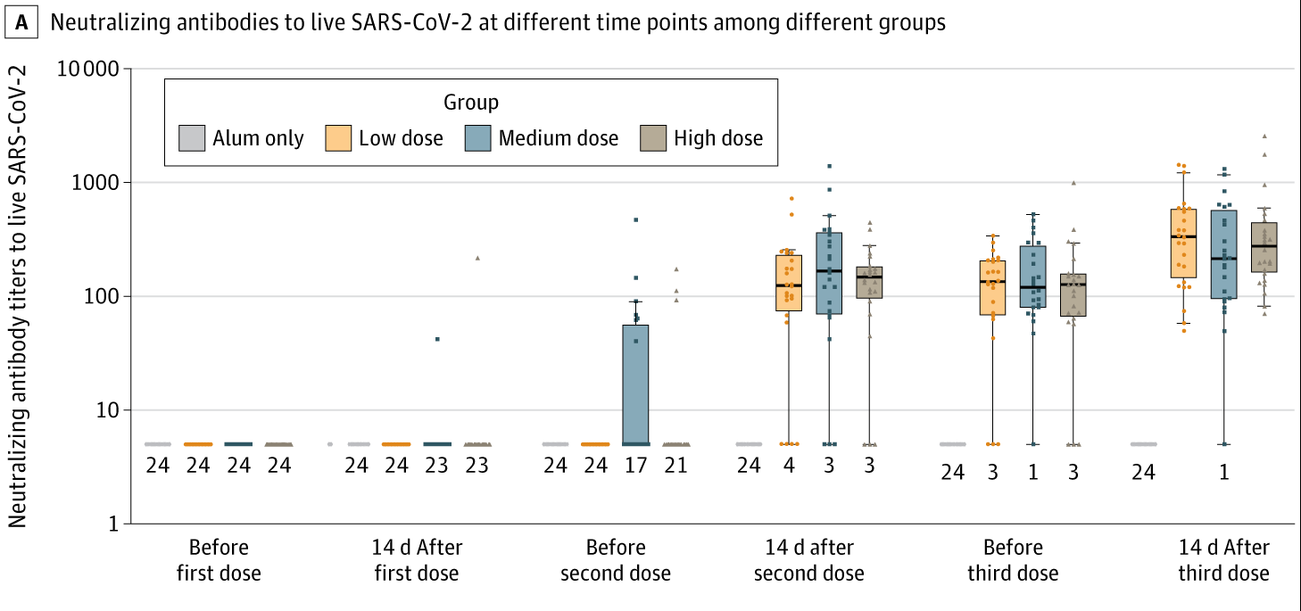 Neutralizing antibodies to live SARS-CoV-2 at different time points among aluminum hydroxide (alum)-only, low-dose, medium-dose, and high-dose groups in the Phase 1 Trial.
