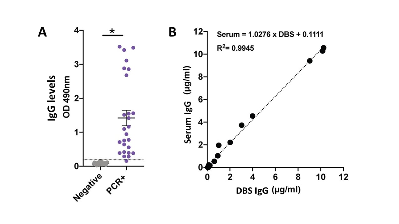 A: IgG levels in DBS measured by optical density (OD) among RT-PCR-positive cases and RT-PCR-negative cases. B: Agreement between DBS IgG and serum IgG levels for PCR-positive cases.